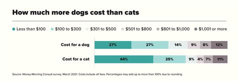 how are cats more affordable than dogs